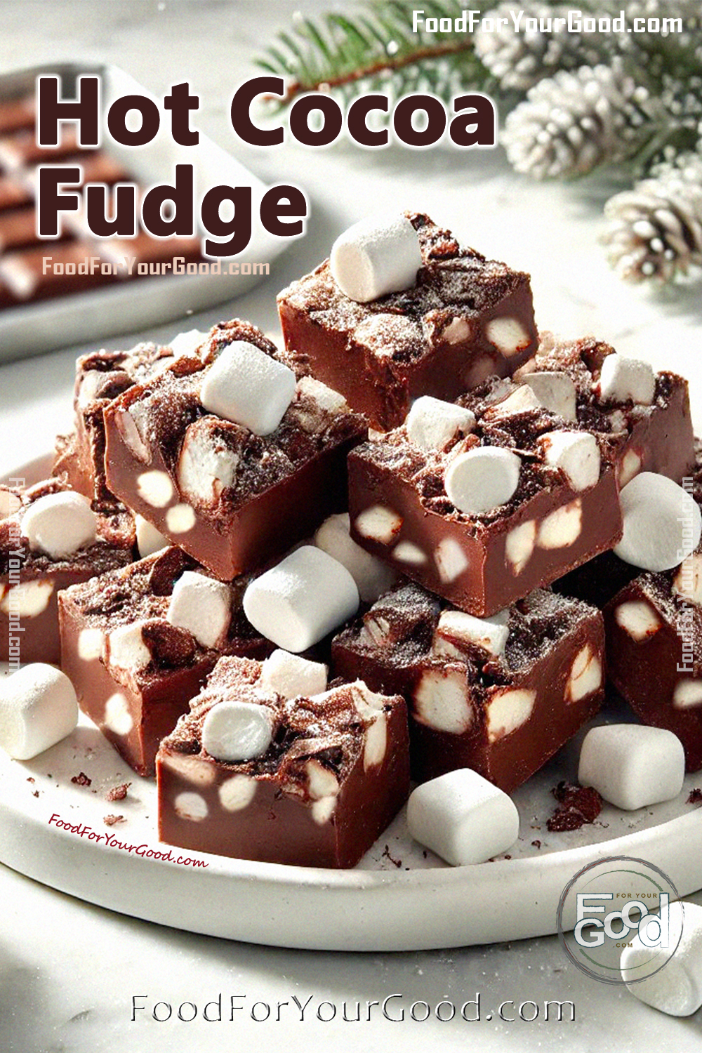 Hot Cocoa Fudge_PIN