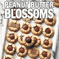 Classic Peanut Butter Blossoms_PIN